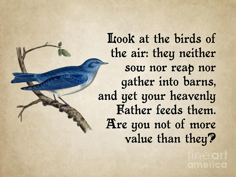 No Thought of the&nbsp;Harvest